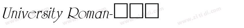 University Roman字体转换